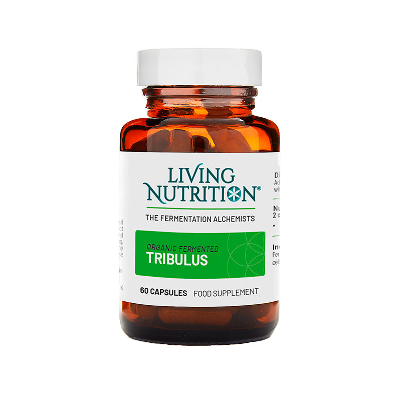 Tribulus Terrestris Benefits