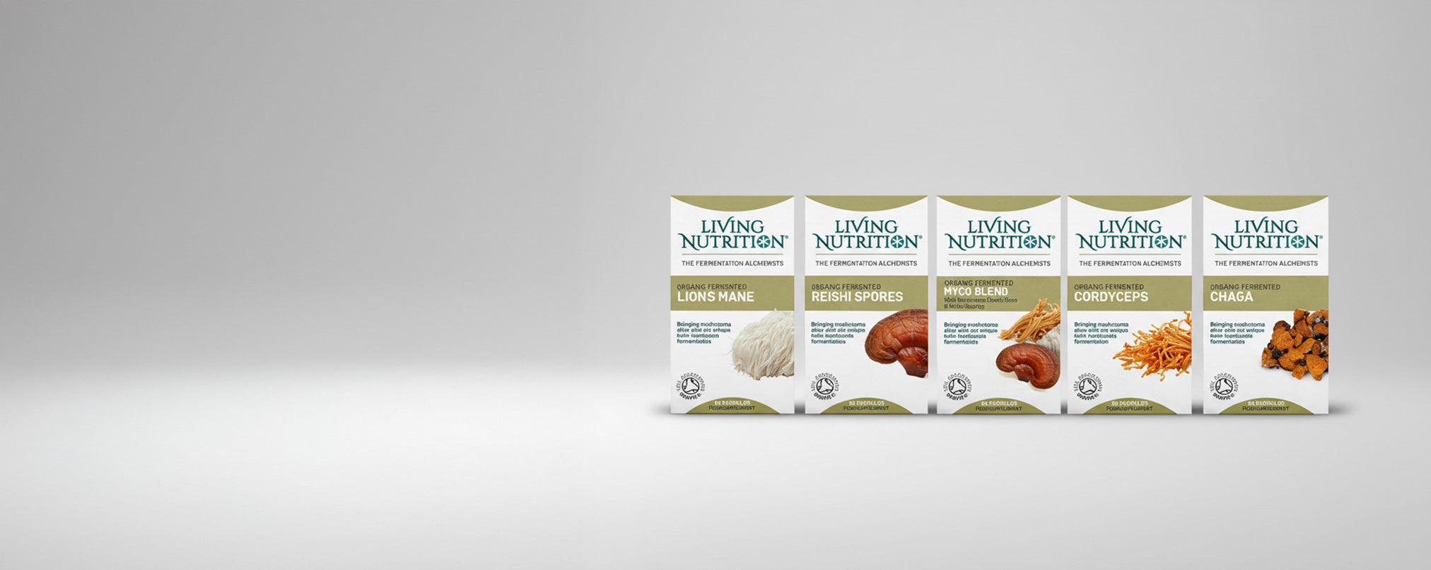 mushroom-collection.jpg