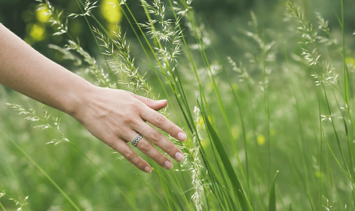 How to support your body this spring: simple ways to feel lighter and more balanced