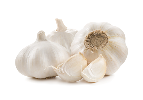 organic garlic