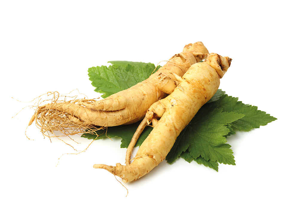 Red-Ginseng.jpg