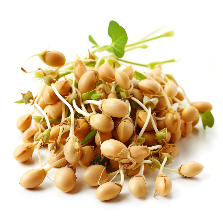 livingplanet24_full_focus_botanical_photograph_of_newly_sprouti-768x768_fde3076a-3467-44b3-acd8-77bf37590025.png