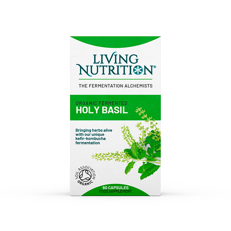 Organic Fermented Holy Basil