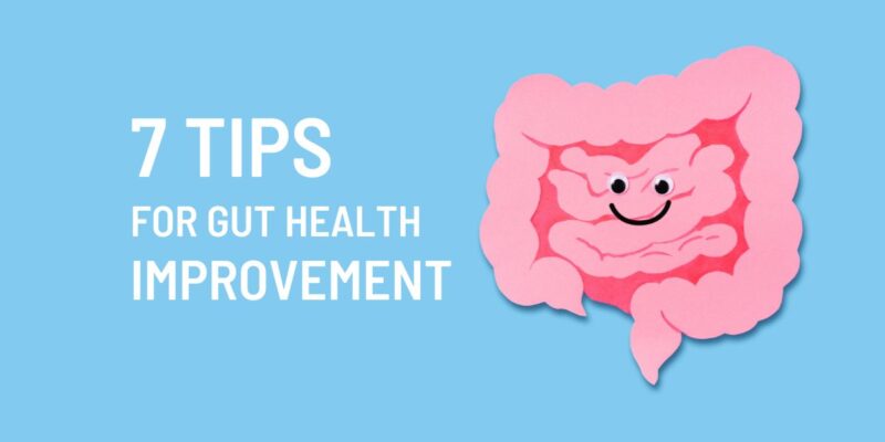 gut health improvement